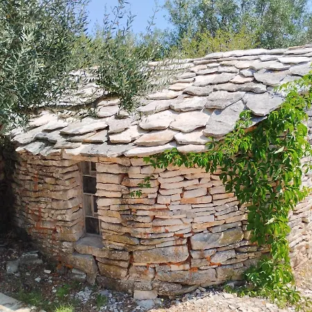 Marti's House In The Olive Grove Apartament Fažana