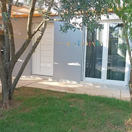 Marti's House In The Olive Grove Fazana