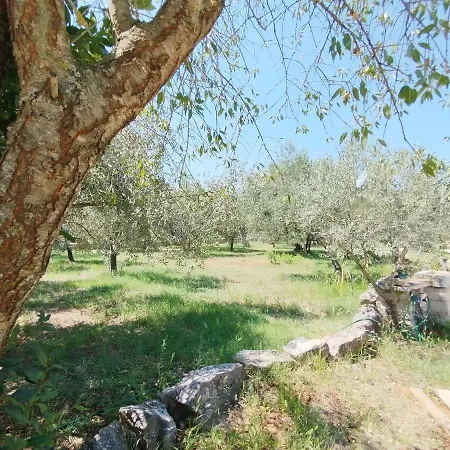 Marti's House In The Olive Grove Fazana