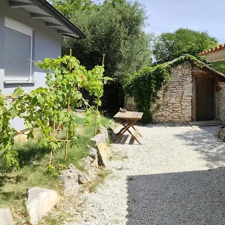 Apartment Marti's House In The Olive Grove Fazana