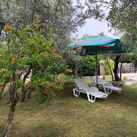 Marti's House In The Olive Grove *