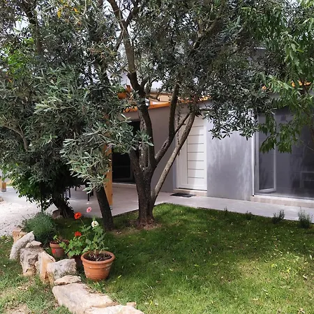 Marti's House In The Olive Grove * Fazana