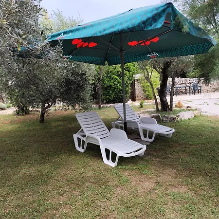 Marti's House In The Olive Grove