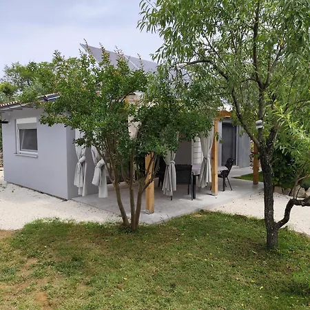 Marti's House In The Olive Grove Apartment