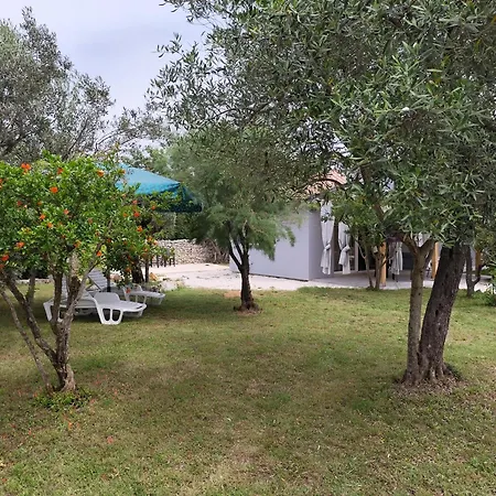 Marti's House In The Olive Grove Apartment *